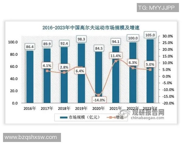南京乒乓球队心理素质深度对比分析及其对比赛表现的影响探讨