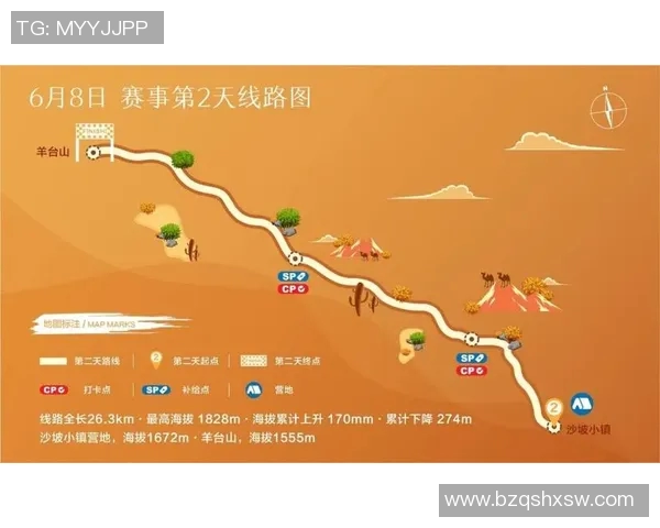 南京篮球队的精神探寻与团队意识的深度解析 南京篮球队的精神探寻与团队意识的深度解析