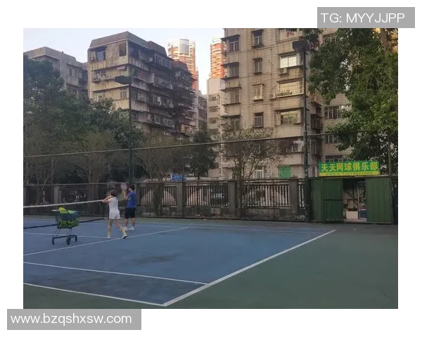 深圳网球队状态分析与表现评估：数据揭示球队潜力与挑战